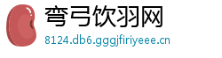弯弓饮羽网